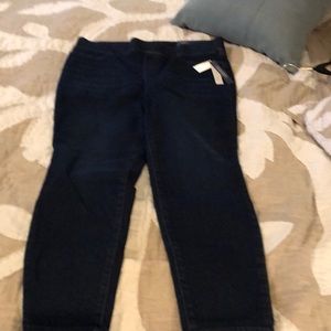 Talbots pull on Jean Jeggings